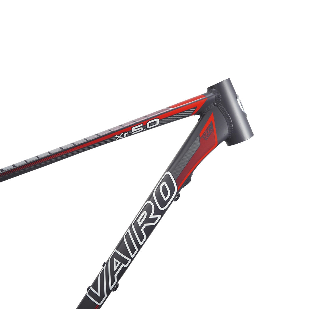 Cuadro Vairo 5.0